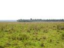 3.118 Hektar Estancia in Caazapa - Paraguay