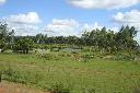Gnstige 42 Hektar im Department Guaira - Immobilien Paraguay
