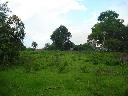 Land-Forstwirtschaftlich / Bauernhof / Anwesen in Guair� - Paraguay