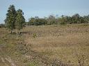 Gnstig! 122 Hektar Estancia in Buena Vista ... so macht Kaufen Spa - Immobilien Paraguay