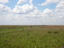 Land-Forstwirtschaftlich / Bauernhof / Anwesen in Caazap� - Paraguay