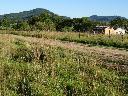 Ideal gelegene 3.8 Hektar in Naranjito/Capii mit tollem Panoramablick